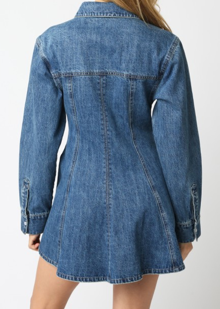 Dedi Denim Dress