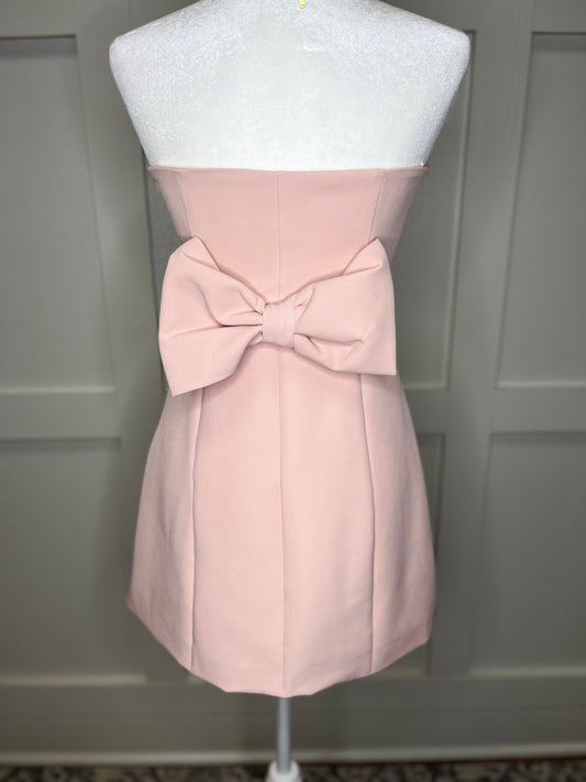 Stassi Strapless Dress