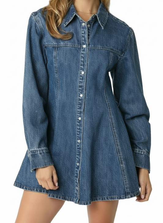 Dedi Denim Dress