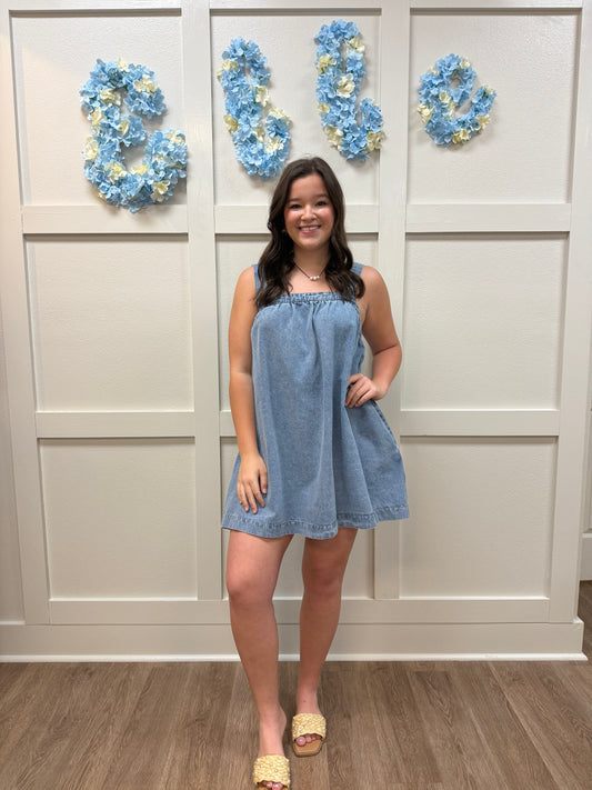 Bluebell Denim Dress