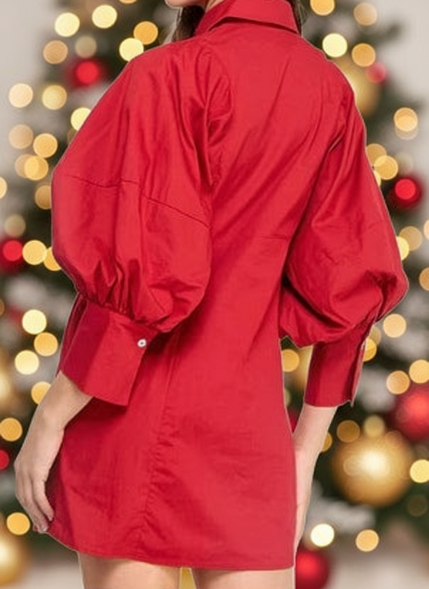 Remi Dress with Christmas Background - Image 2