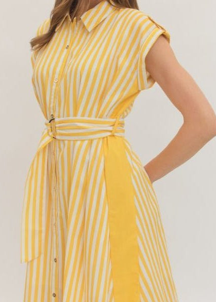 Sunbeam Stripe Belted Midi Dress - ElleBoutiqueZachary