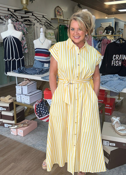 Sunbeam Stripe Belted Midi Dress - ElleBoutiqueZachary